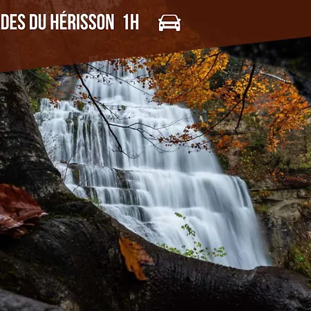 Le Zen * Foucherans (Jura)